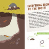 Explore underground soil layers with moles, earthworms, insects, and plant roots in "The Forest" by Schiffer Publishing, Ltd. Features woodland animals, a giant fold-out poster, info on soil life, earthworm drawings, insect images. Heading: Everything Begins at the Roots!.