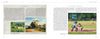 An open spread from "Cape Cod and the Islands" by Schiffer Publishing, Ltd. shows text about the Cape Cod Baseball League, images of a yellow house, a barn painting, Cape Cod oil art, and a youth baseball game photo.