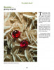 Discover striking contrasts in “Gems & Minerals” by Schiffer Publishing, Ltd., as glossy, deep red rhodolite garnets rest on pale, spiky muscovite clusters—perfect for mineral identification and collectors.