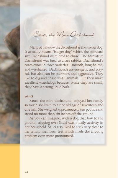 A page from "Tails of the Afterlife" by Schiffer Publishing, Ltd. shares Sauci the Mini Dachshund’s loving story and a heartfelt pet visitation, with a blurred dog’s face image on the left margin.