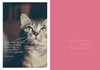 A close-up of a gray tabby cat looks up, overlaid with: “Your domestic cat is programmed identically to its ancestors. So brace yourself!” On a pink side: I Love Happy Cats by Schiffer Publishing, Ltd.—CAT BEHAVIOR BACKGROUND CHECK OF YOUR CAT.