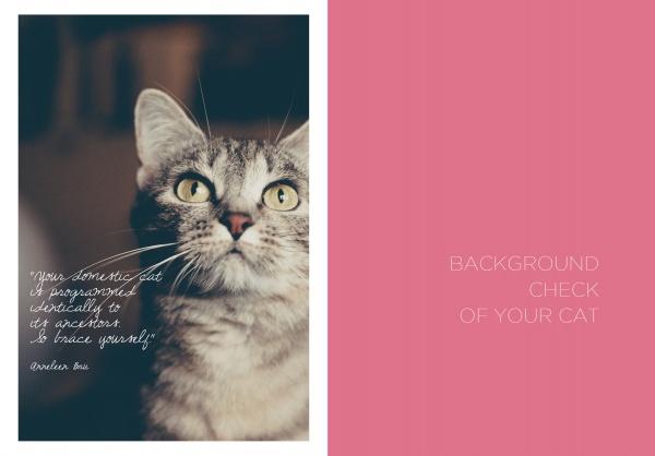 A close-up of a gray tabby cat looks up, overlaid with: “Your domestic cat is programmed identically to its ancestors. So brace yourself!” On a pink side: I Love Happy Cats by Schiffer Publishing, Ltd.—CAT BEHAVIOR BACKGROUND CHECK OF YOUR CAT.