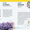 The 50 State Gems and Minerals by Schiffer Publishing, Ltd. is a kids’ guide to Illinois and Indiana state stones, featuring maps, images of fluorite and calcite crystals, and details about each state’s designated gems and minerals.