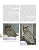 A page from "The Great Horned Owl" by Schiffer Publishing, Ltd. features two carrier photos of a Great Horned Owl, with text on safely handling and caring for injured North American owls.