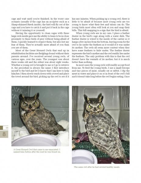 A page from "The Great Horned Owl" by Schiffer Publishing, Ltd. features two carrier photos of a Great Horned Owl, with text on safely handling and caring for injured North American owls.
