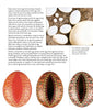 A magazine page from Schiffer Publishing, Ltd.’s Decorating Eggs shows white and speckled eggs in a nest and three ornate eggs, with text on selecting duck, goose, and exotic eggs for decorating.