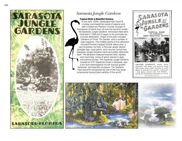 Experience ‘50s Roadside Florida by Schiffer Publishing, Ltd.—a collage of Sarasota Jungle Gardens with vintage postcards, a 1950s brochure, tropical birds, flamingos, lush greenery, and history, all on a white background.