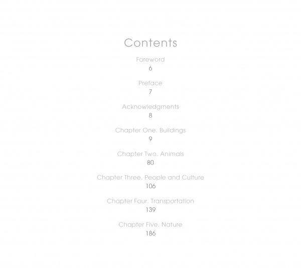 Table of contents for Miami, Real and Imagined (Schiffer Publishing, Ltd.): Foreword (6), Preface (7), Acknowledgments (8), plus chapters on Buildings, Animals, People & Culture, Transportation, and Nature—all with Hank Klein’s Miami photography.