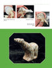 Three images from "Introduction to Soapstone Sculpting" by Schiffer Publishing, Ltd. show polishing a soapstone bear: applying polish with a cloth, covering creases, and the finished shiny bear on a black background.