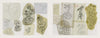 Classic Tattoo Stencils 2 by Schiffer Publishing, Ltd. features snake and rose tattoo sketches on tracing paper with overlapping designs, showing various snake poses and floral motifs in bold black ink inspired by mid-20th-century stencil art.