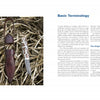 An open spread of The Puukko by Schiffer Publishing, Ltd. displays a traditional Finnish puukko knife in a leather sheath on dried grass, with the opposite page featuring basic terminology and insights from Anssi Ruusuvuori.