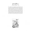 Looted Beauty by Schiffer Publishing, Ltd. features a decorative page on Jan van Huysum, famed 18th-century Dutch flower painter, his lost Nazi-looted masterpiece, and a detailed black-and-white floral illustration for your art coloring book creativity.