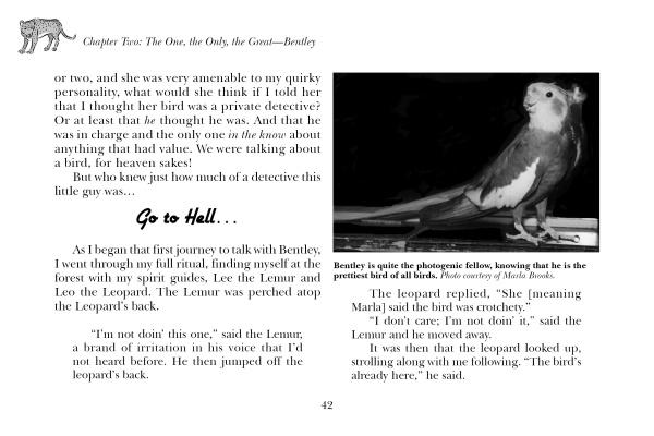 A black-and-white page from "Psychic Pets" shows a cockatiel photo beside text on animal communication, noting the bird senses the camera. A leopard drawing is also included.