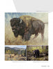A page from "The Contemporary Art of Nature" by Schiffer Publishing, Ltd. shows stunning animal paintings: a bison in a field, two elk in mountain grasslands, and a black bear by a creek in the woods.
