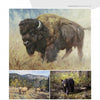 A page from "The Contemporary Art of Nature" by Schiffer Publishing, Ltd. shows stunning animal paintings: a bison in a field, two elk in mountain grasslands, and a black bear by a creek in the woods.