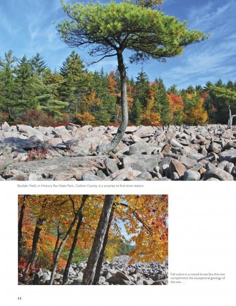 A striking pine tree amid a rocky field and autumn foliage highlights Pennsylvania’s beauty in "Life in the Keystone State" by Schiffer Publishing, Ltd.; below, more vibrant fall trees and boulders complete the scene.