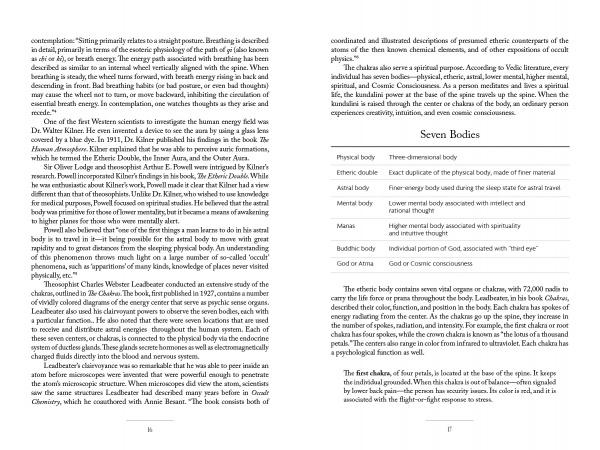Two pages from Healing with Spirit by Schiffer Publishing, Ltd. explore spiritual bodies, chakras, and energy fields. A table lists seven bodies—physical to god—with insights on spirit guides and psychic healing for each.