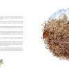 A two-page spread from Nature Mandalas Wonders of the Earth, Wind, and Sea (Schiffer Publishing, Ltd.) shows text on the left and a right-page illustration of a bird's nest with eggs, twigs, and leaves, with small bird graphics and a page number at the bottom left.