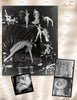 A collage from "New York Burlesque" by Schiffer Publishing, Ltd. features vintage black-and-white photos of performers in clam shell props and theatrical costumes, inspired by the Roy Kemp portfolio on a lightbulb-bordered background.