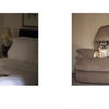 Two photos from "Senior Dogs Across America" by Schiffer Publishing, Ltd.: Left—a senior dog lies on a bed; right—a small dog sits upright on a brown recliner near a fireplace. Both classic portraits include captions with the dogs' names and ages.