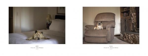 Two photos from "Senior Dogs Across America" by Schiffer Publishing, Ltd.: Left—a senior dog lies on a bed; right—a small dog sits upright on a brown recliner near a fireplace. Both classic portraits include captions with the dogs' names and ages.