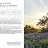 A field of bluebonnets and a large oak tree at sunset showcases the natural beauty of Texas Hill Country, featured in the book "Texas Hill Country" by Schiffer Publishing, Ltd.