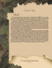 A page with a painted camouflage border and torn parchment section features the title Whimsical Elegance. The text covers handcrafted cat doll history, with an illustration of a fez-wearing cat. From Schiffer Publishing, Ltd.