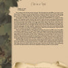 A page with a painted camouflage border and torn parchment section features the title Whimsical Elegance. The text covers handcrafted cat doll history, with an illustration of a fez-wearing cat. From Schiffer Publishing, Ltd.