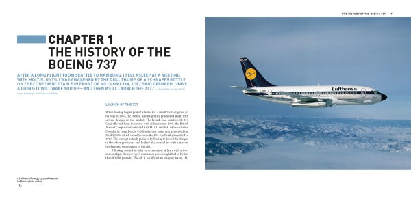 The Boeing 737 by Schiffer Publishing, Ltd. is soaring high in the sky.