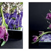 Perishable Poetics by Schiffer Publishing, Ltd. showcases a striking display of deep purple parrot tulips, baby’s breath, and purple blooms, arranged upright and cascading in a rectangular tray against a bold black background.