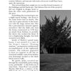 Page 40 of *Haunted Plantations of Virginia* (Schiffer Publishing, Ltd.) features a black-and-white photo of a grand house and trees, plus text on its English design and layout, as part of a section about Virginia's haunted houses.
