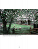 Sheep graze beneath blooming apple trees near a rustic barn, evoking scenes found in "The Unlikely Story of the Museum of Appalachia and How It Came To Be" by Schiffer Publishing, Ltd., capturing Southern Appalachian heritage.