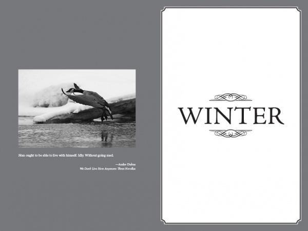 A black-and-white photo of geese taking flight over snowy ground appears on the left beside a quote. On the right, a white page displays "WINTER" in bold, ornate font—featured in Schiffer Publishing, Ltd.'s Fly Fishing the Tidewaters of Maryland's Chesapeake Bay.