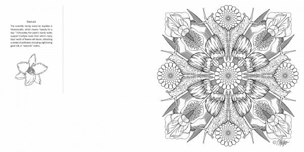 Garden Life by Schiffer Publishing, Ltd. features a black and white nature mandala coloring page with daffodil flowers and leaves, plus a small illustration and text about daffodils, their symbolism, and mindful coloring benefits.