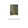 A narrow, mossy path winds through Pine Barrens trees on the cover of Pinelands by Schiffer Publishing, Ltd. Below the image, a dedication honors those who devote their lives to preserving our natural heritage.