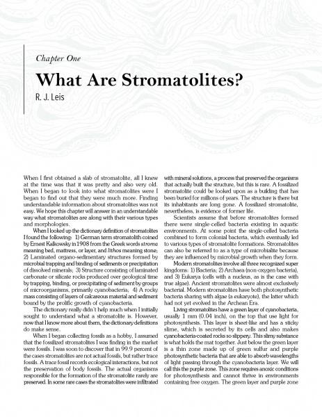 A book titled Stromatolites by Schiffer Publishing, Ltd. explores stromatolites, fossilized structures formed by cyanobacteria, covering their discovery, definitions, and distinct layered patterns.