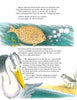 A page from "Chadwick Forever" by Schiffer Publishing, Ltd. shows a large fish and pelican conversing by the water with Chadwick the Crab and a shorebird nearby, discussing endangered species and environmental issues in illustrated dialogue.