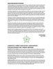 A page from "Mommy's New Tattoo" by Schiffer Publishing, Ltd. shows a green geometric star, an intro on tattoo stories by Lars Krutak, and profiles of featured tattoo artists. Black text appears on a white background.