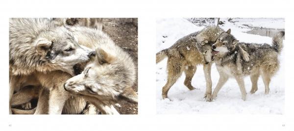 A collage titled "Wolf Sanctuary" by Schiffer Publishing, Ltd. captures the snowy beauty of wolves as seen at Speedwell Forge Wolf Sanctuary.