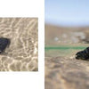 The "My Heart Rocks" photo book by Schiffer Publishing, Ltd. captures a heart-shaped black rock and colorful stones nestled in clear water, sunlight casting gentle ripples and reflections on the sandy bottom.