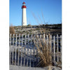 A tall white lighthouse with a red top rises above sandy dunes and beach grass, captured perfectly for Cape May Lighthouse fans—a classic scene ideal as a souvenir from Schiffer Publishing, Ltd.
