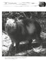A capybara stands on dappled ground in a shaded area, looking toward the camera. Bushes and branches fill the background. This image appears in the book "Strange Pennsylvania Monsters" by Schiffer Publishing, Ltd.