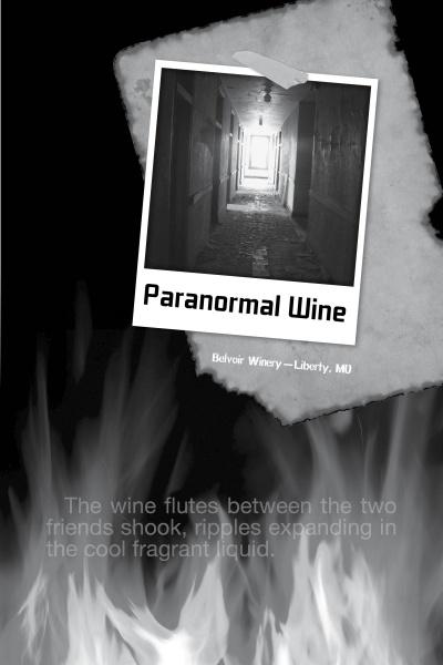 A black-and-white poster for “Campfire Tales Midwest” by Schiffer Publishing, Ltd. shows a dark, eerie hallway above flames, evoking Midwest ghost stories. The text below reads: “The wine flutes between the two friends shook, ripples expanding in the cool fragrant liquid.”.