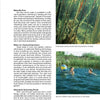 A magazine page highlights Swimming Ponds by Schiffer Publishing, Ltd., with two photos: one of underwater plants and roots, and another of children playing ball in a clear, plant-lined garden pond.