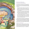 A blonde girl in a red dress sits by a sleeping blue and green dragon inside a cave. The right page of "As You Feel, So You Heal" by Schiffer Publishing, Ltd. features inspiring dragon tales and self-acceptance journaling prompts.