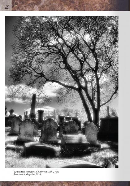 Black-and-white photo of gravestones and monuments under a leafless tree in Laurel Hill Cemetery, with dramatic clouds and sunlight, capturing mourning customs. Featured in "Cemetery Gates" by Schiffer Publishing, Ltd.
