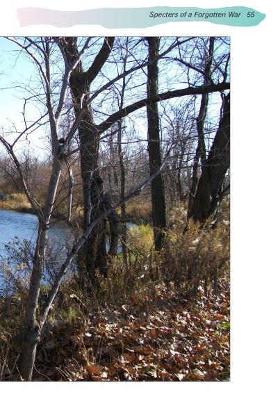 Leaf-covered ground and bare trees line a calm river, sunlight casting shadows on tall grass—a peaceful scene often featured in "Ghosts of Buffalo" by Schiffer Publishing, Ltd.