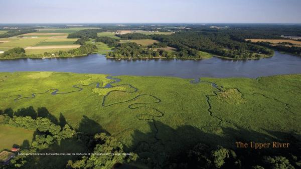 Aerial view of the winding Choptank River with green marshlands, farmland, and forests on the Delmarva Peninsula under a blue sky. The image features the text "Choptank Odyssey" from Schiffer Publishing, Ltd.