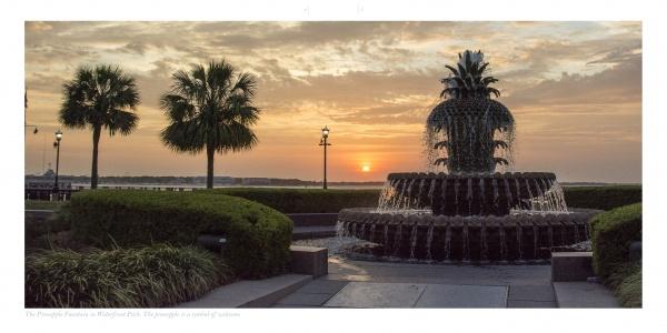 Capture the beauty of Charleston with Schiffer Publishing, Ltd.'s "Charleston"—featuring the iconic pineapple fountain at sunset, palm trees, and waterfront views. A must-have for any Charleston travel or photography enthusiast.