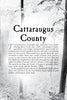 A page headed “Cattaraugus County” on a grayscale forest background, featuring text about 18th-century transportation, storytelling, and local legends from Ghosts of Southern Tier, NY by Schiffer Publishing, Ltd.